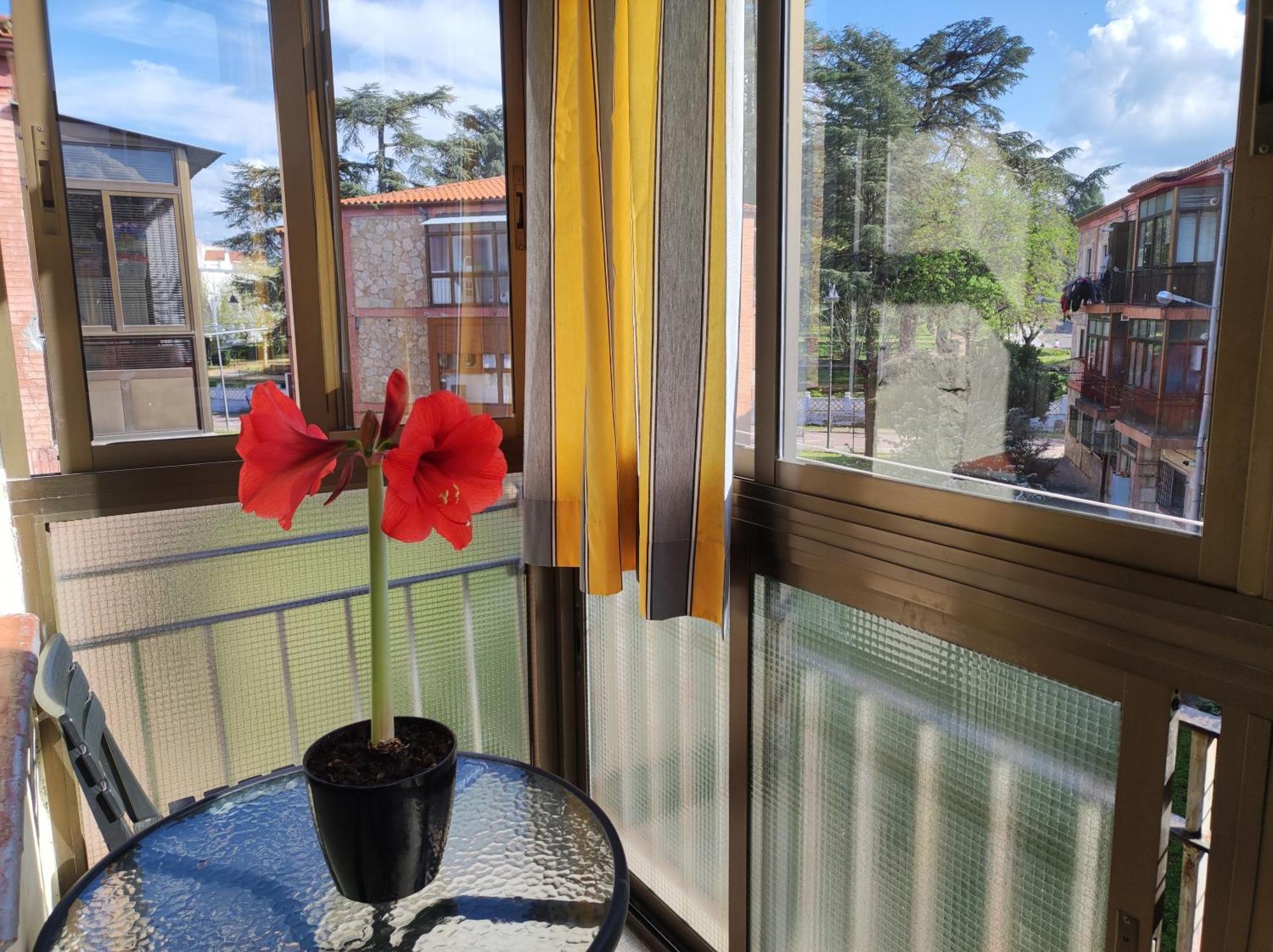 Vut San Blas Apartment Ciudad-Rodrigo
